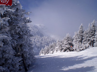 Stowe 1