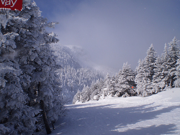 Stowe 1