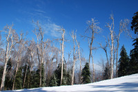 Okemo 1