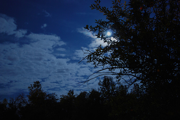 moonlight clouds