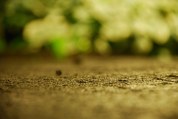 night ground