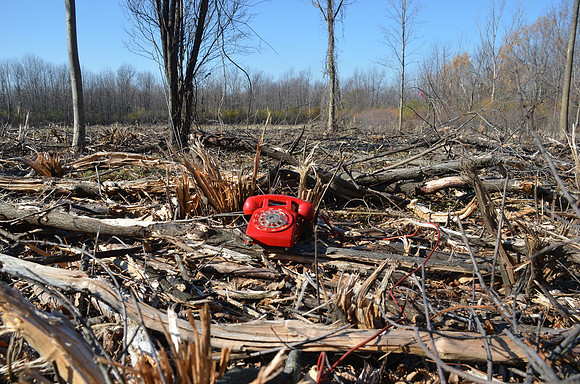"red phone"