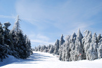 Okemo 5