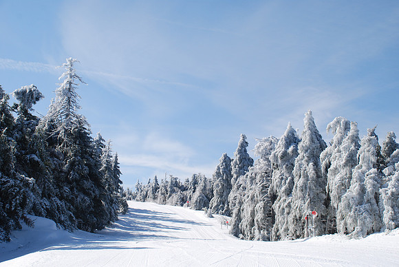 Okemo 5