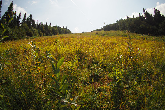 Tremblant Summer Slope
