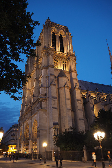 Notre Dame Night