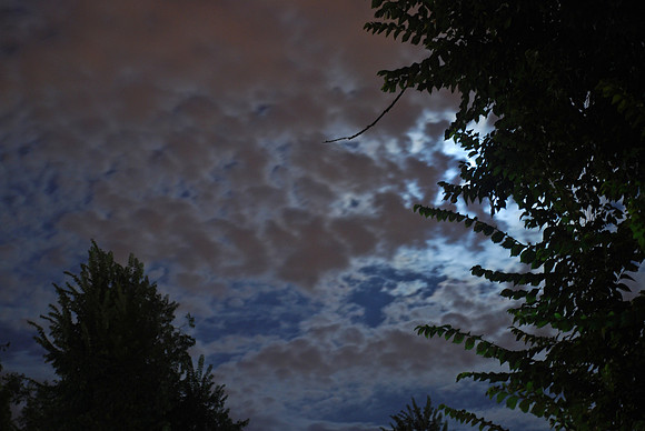 moonlight clouds