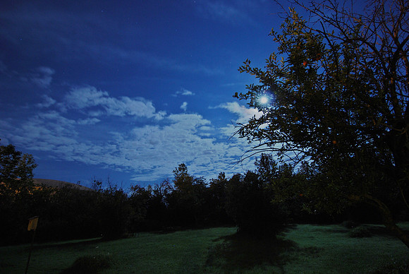 moonlight clouds