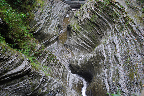 Watkins Glen1