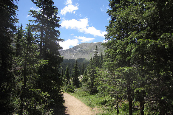 Williams Lake Trail