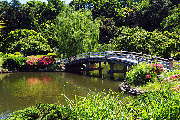 Tokyo Park West 2